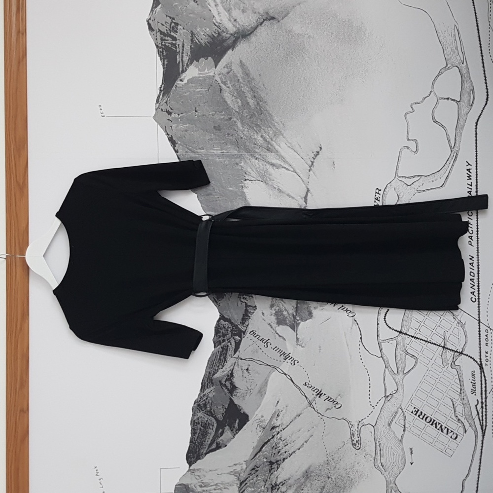 Zara Micro Suede Black Midi Dress with Attached Leather Belt & Silver Buckle - Picture 3 of 4